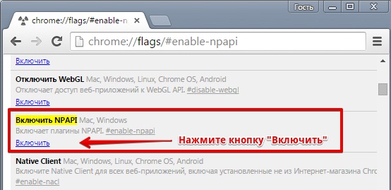 Как включить поддержку NPAPI в браузере Google Chrome