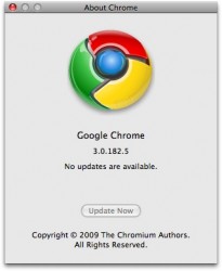 google-chrome-mac-os-developer-preview-08