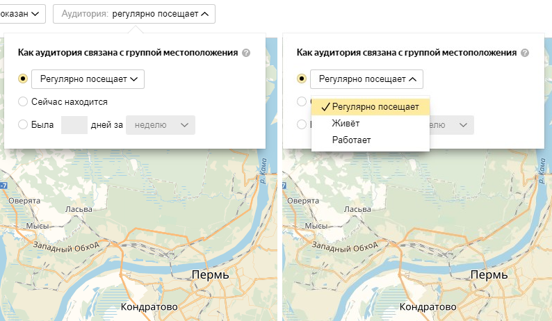 Яндекс Аудитории – выбор частоты посещений