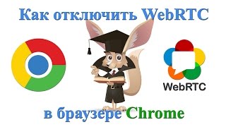 Отключить WebRTC в Google Chrome