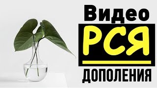 Видеодополнения. Видео объявления в Яндекс Директ.