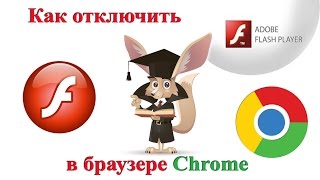 Как отключить Adobe Flash в браузере Chrome