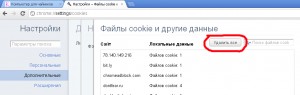 Удалить cookies (куки) в Google Chrome