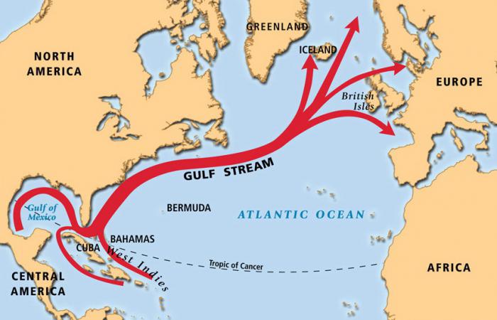 океаническое течение атлантического океана
