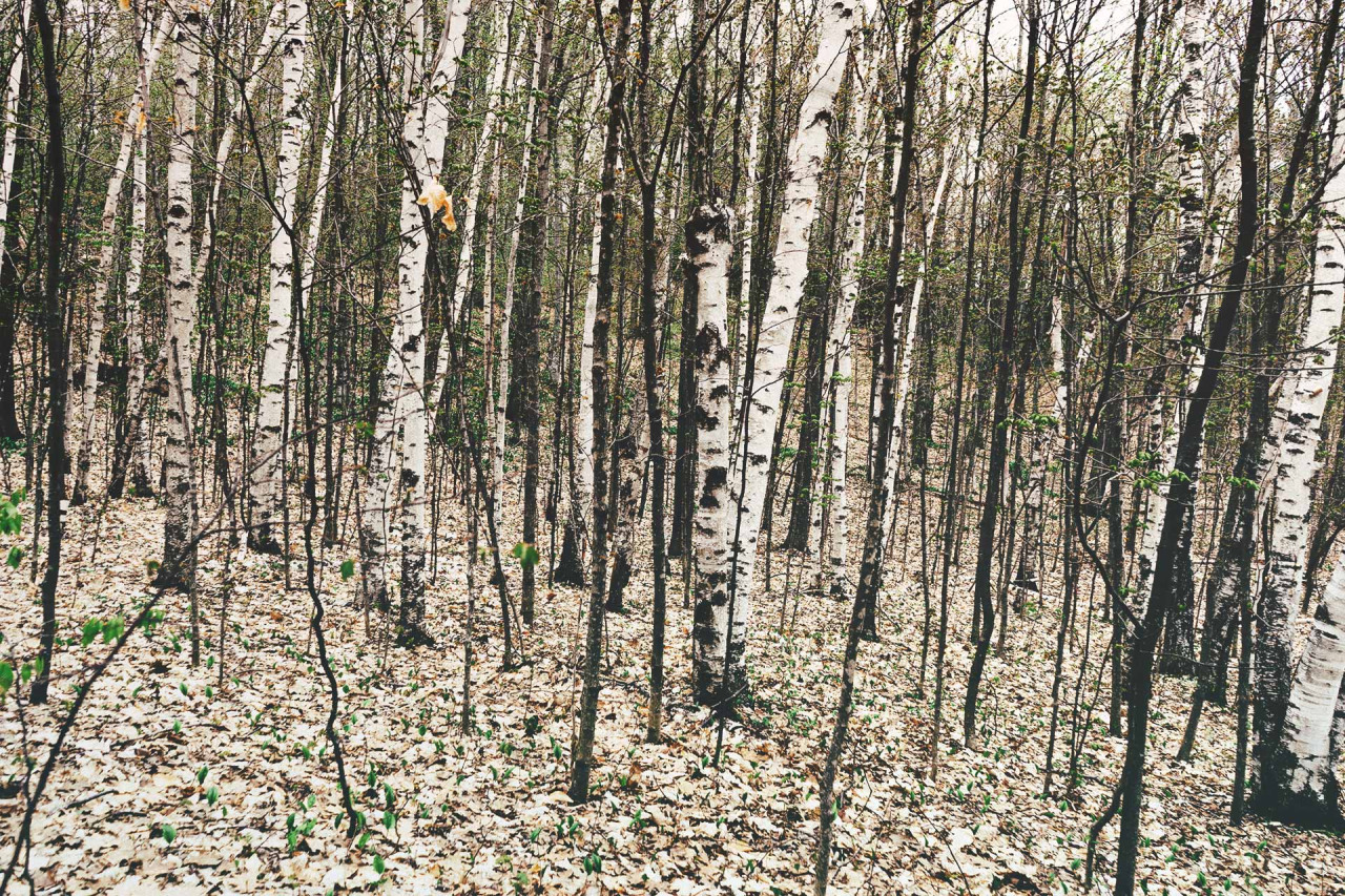jaymantri фотосток