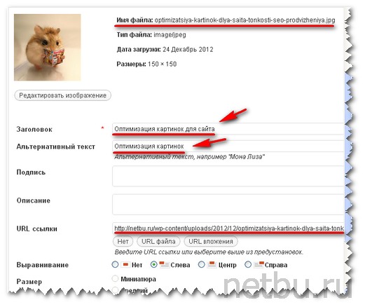 Оптимизация картинок для сайта - свойства WordPress