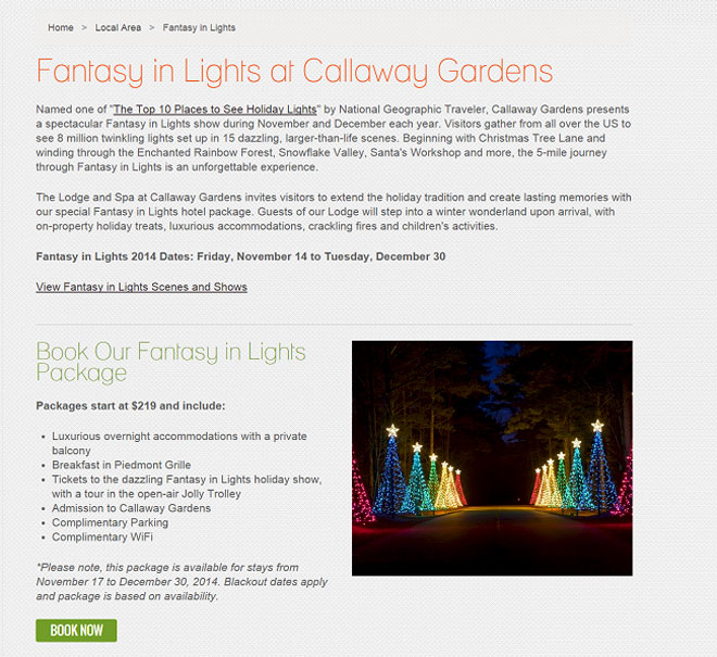 Целевая страница с праздничным пакетом "Fantasy in Lights"