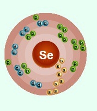 Схематическое строение атома селена