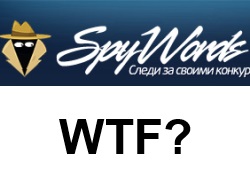 SpyWords, WTF? Правдивый отзыв о Спайвордсе