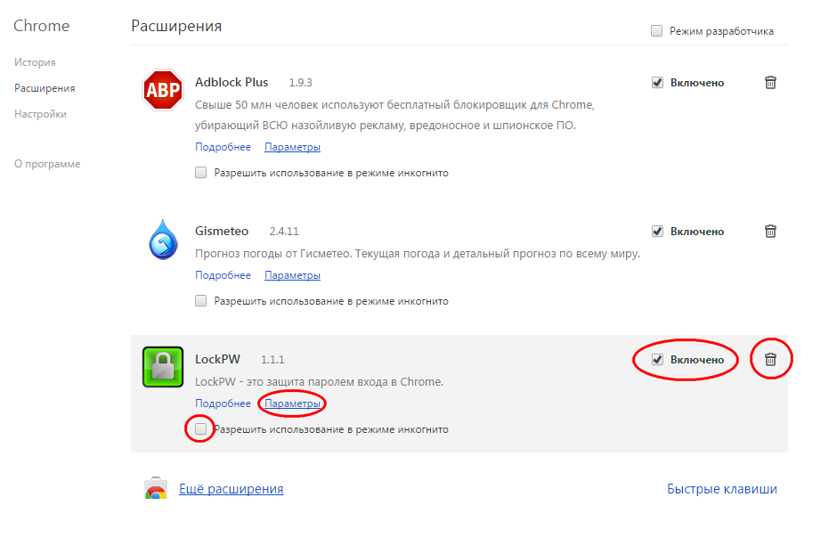 Как установить пароль на Google Chrome spydevices.ru