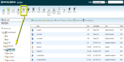 Скриншот диспетчера файлов в панели cPanel