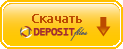 Скачать книгу с DepositFiles