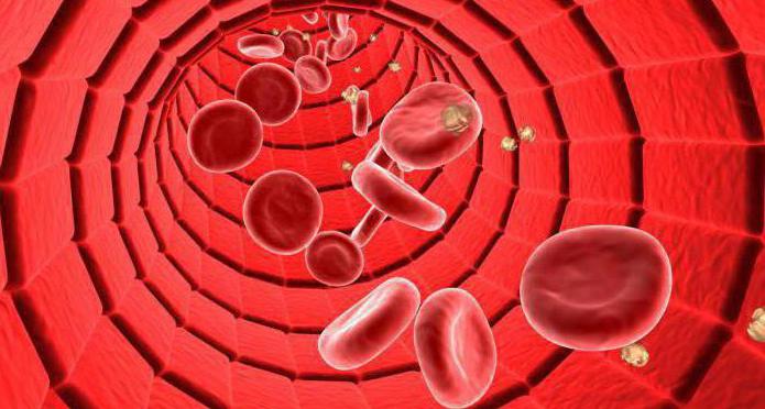 факторы обеспечивающие движение крови по сосудам