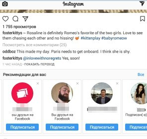 Алгоритм Instagram – связи