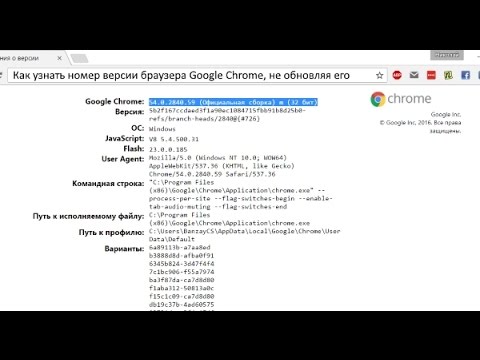 How to check the version of the Google Chrome browser, not updating it