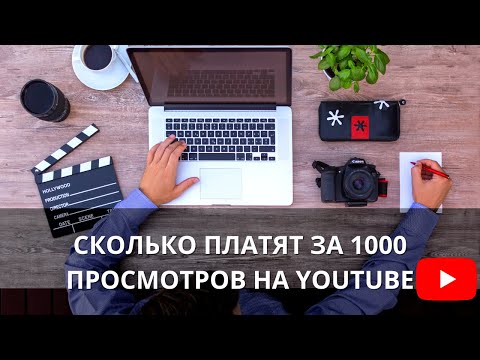 Сколько платят за 1000 просмотров на YouTube? За что Ютуб дает деньги?