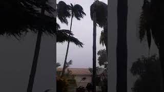 Hurricane online. Ураган Ирма в Америке 2017. Майами. Флорида.