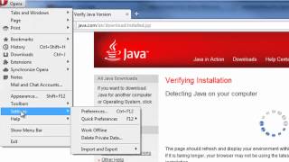 How to enable plug-ins with Opera