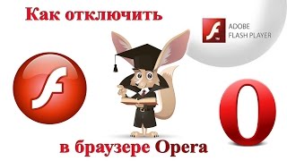 Как отключить Adobe Flash в браузере Opera