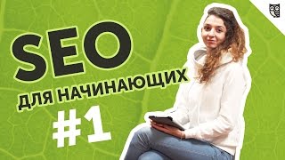 SEO для начинающих #1