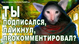 ❤ КАК РАСКРУТИТЬ ролик на youtube? РАСКРУТКА канала Youtube БЕСПЛАТНО | ПРОДВИЖЕНИЕ ютуб канала! #БМ