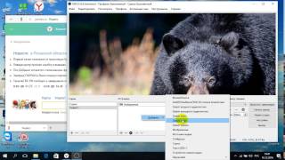 OBS-черный захват окна браузера