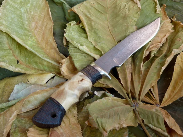 Нож туристический от Дамаска steeld — стоковое фото